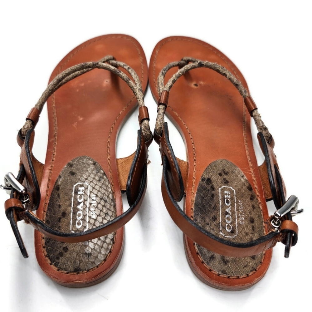 Coach Coco Tan Leather & Python Snake Print T-Strap Slingback Flat Thong Sandals - Picture 8 of 13